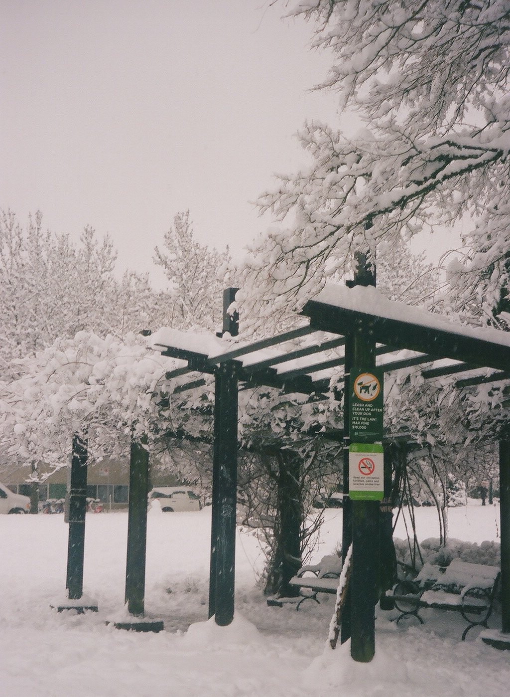 snowdays--03.jpg