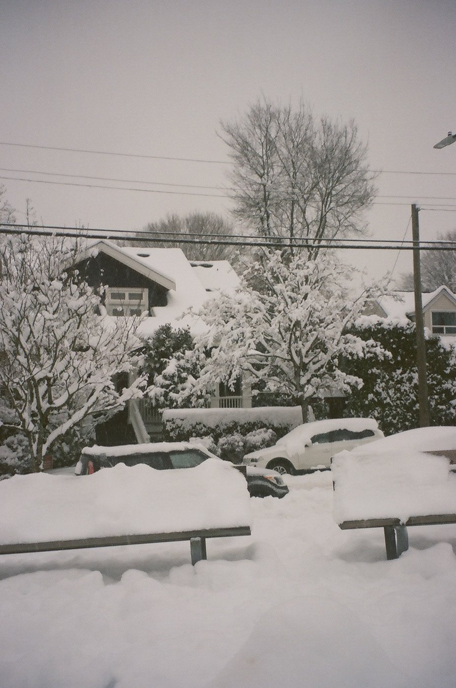 snowdays--13.jpg