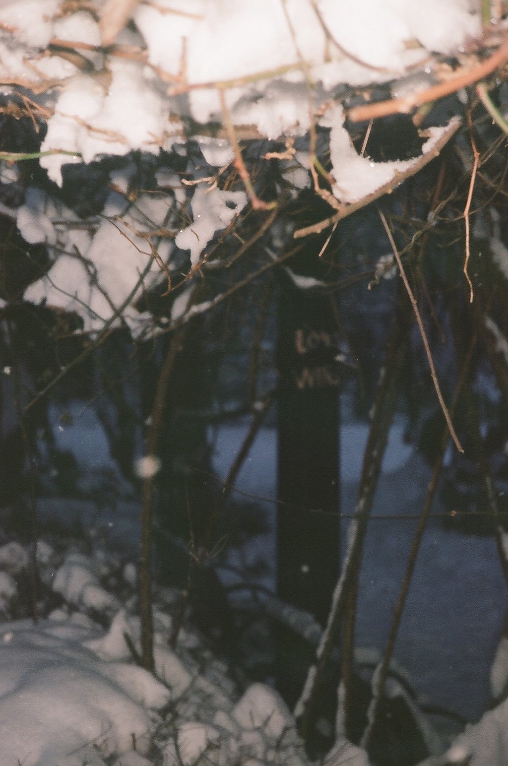 snowdays--18.jpg