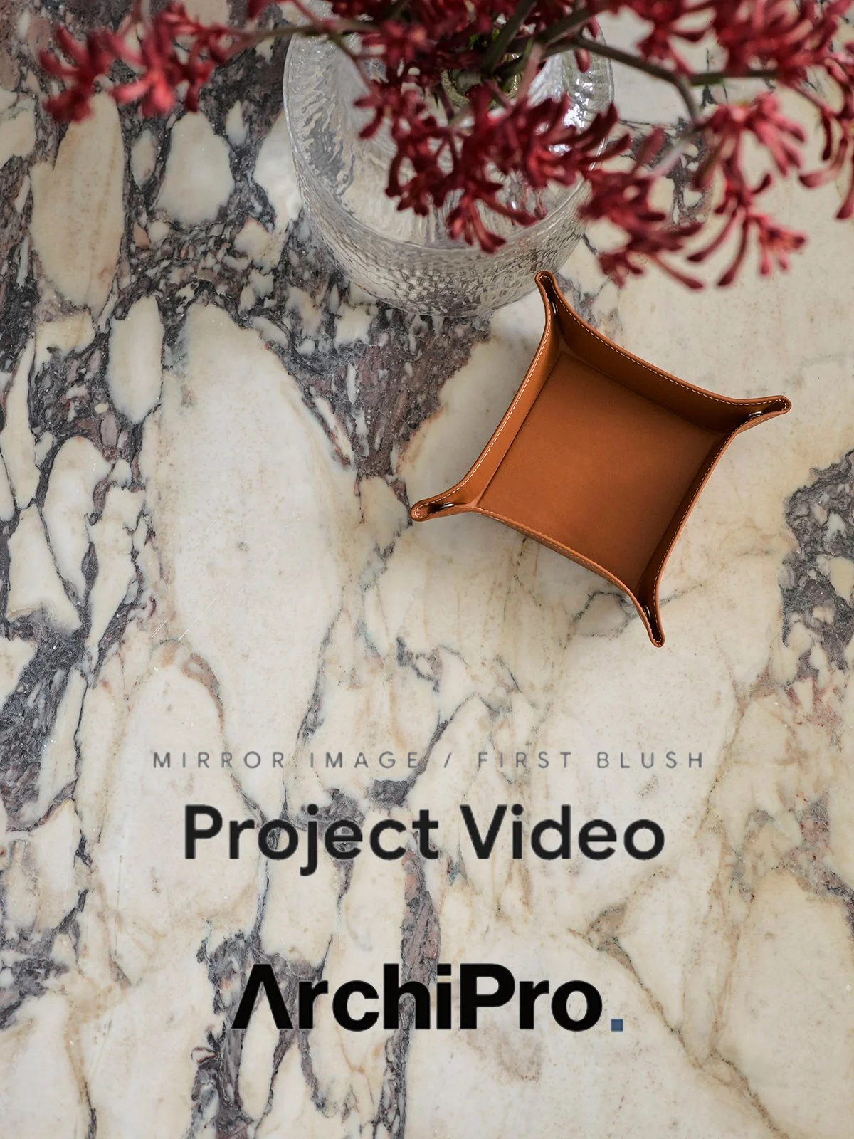 web-archipro-video.jpg