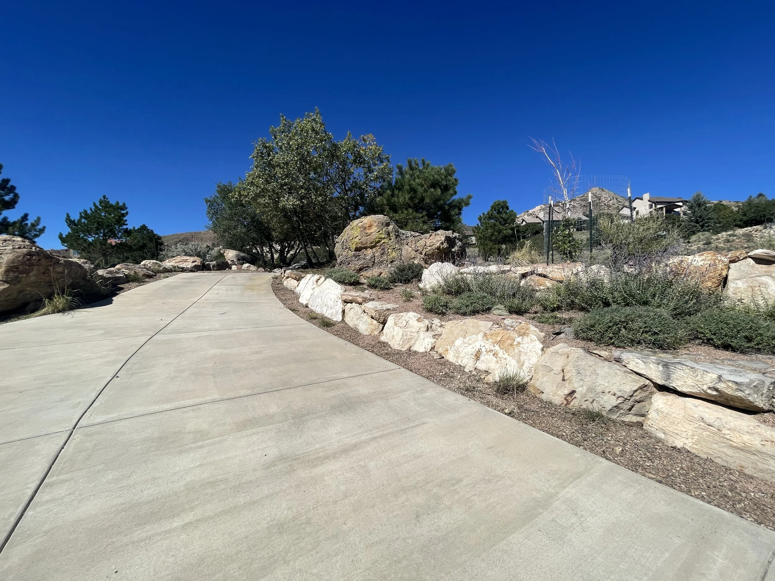 Landscaping Design and cleanup 