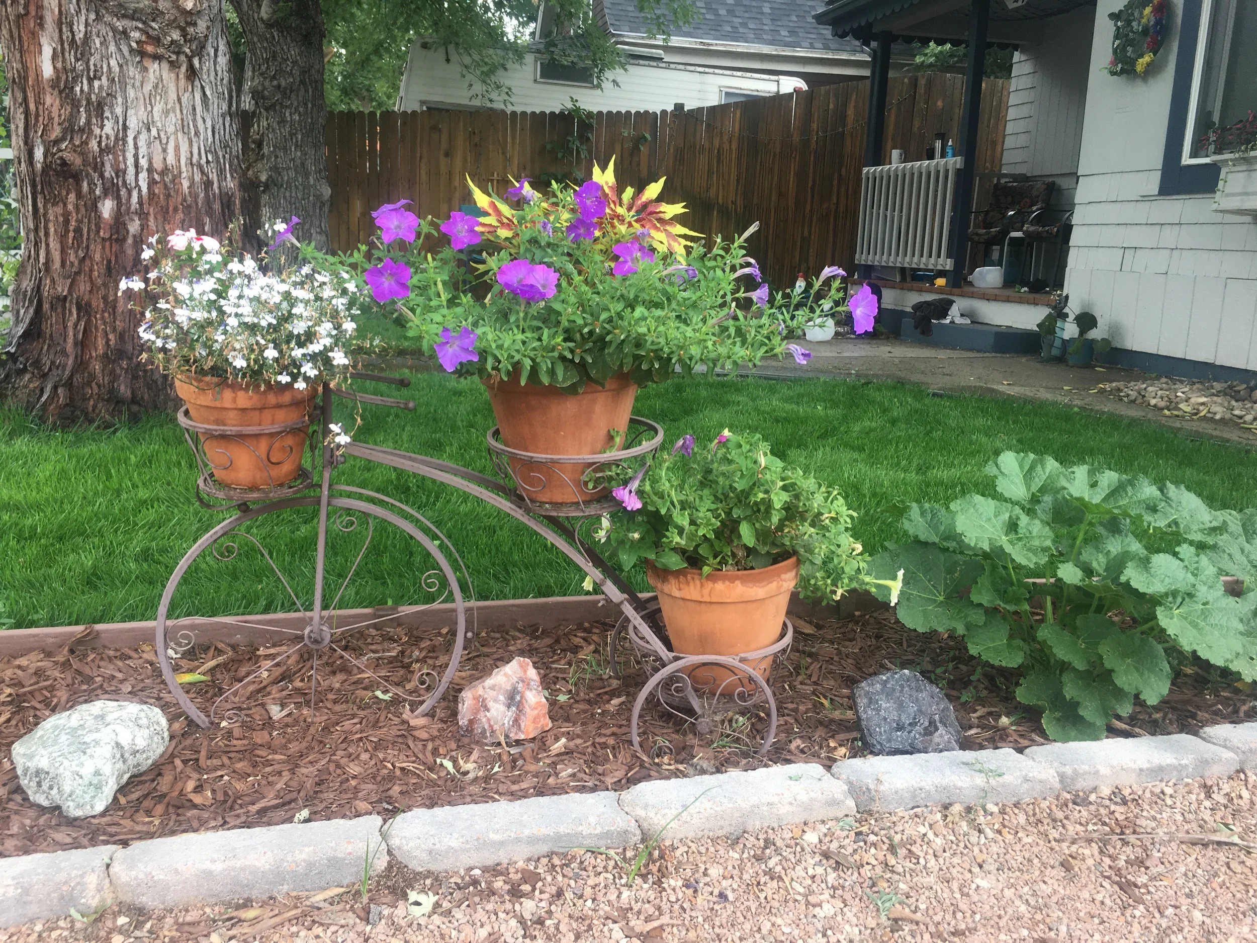 Curb Appeal and Landscape design 