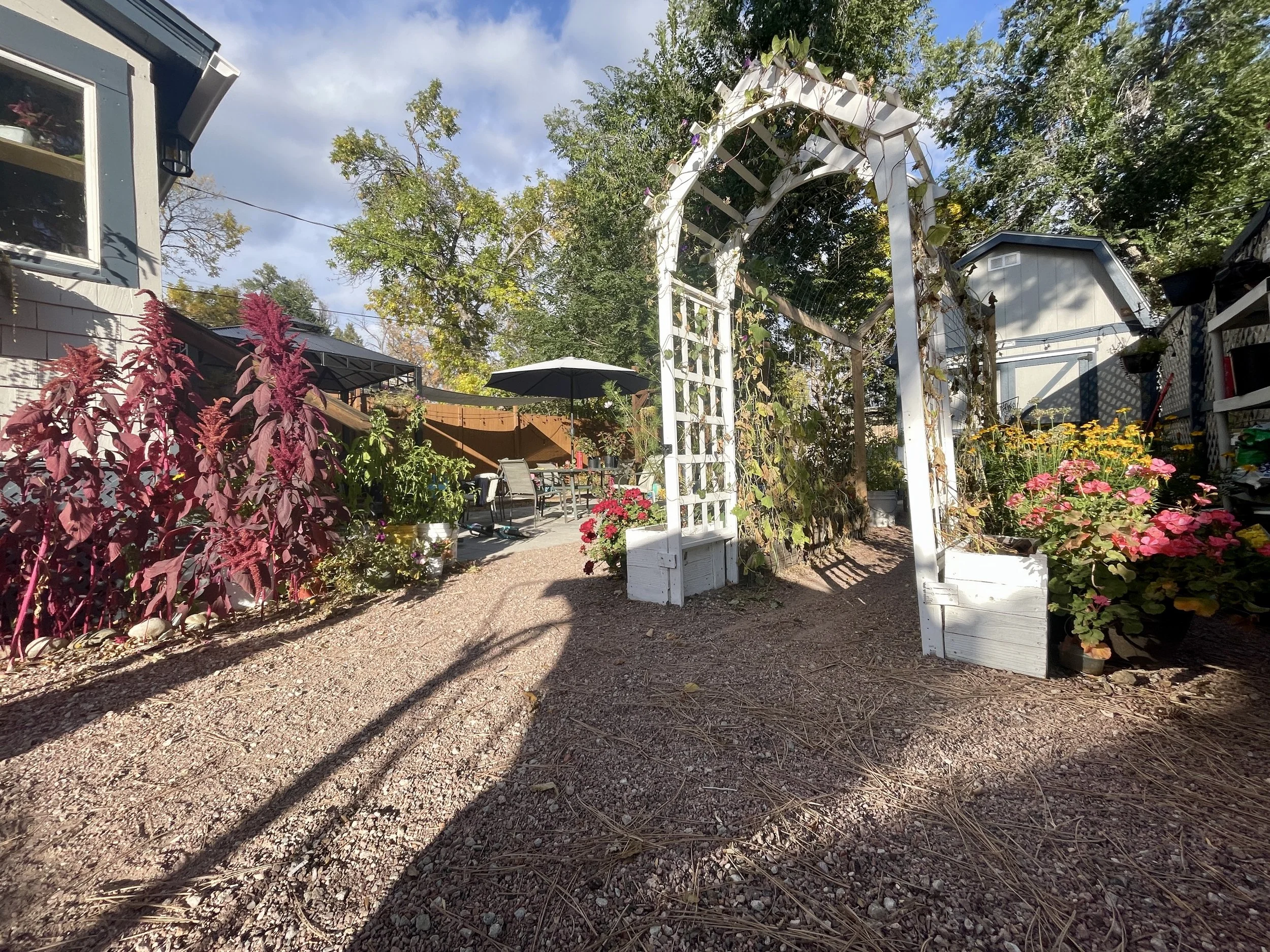 Landscaping Design