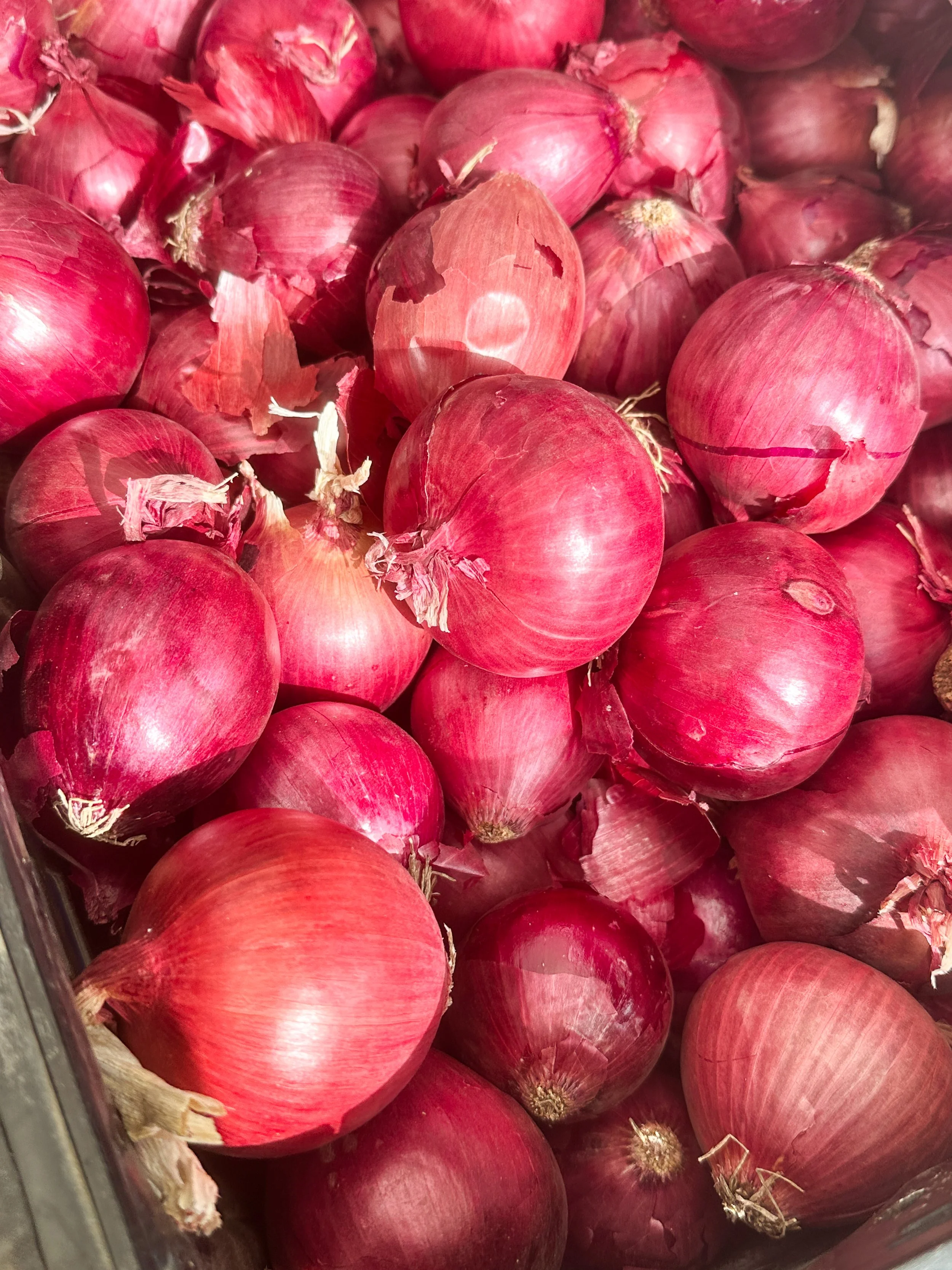 Seasonalproduce2.jpg