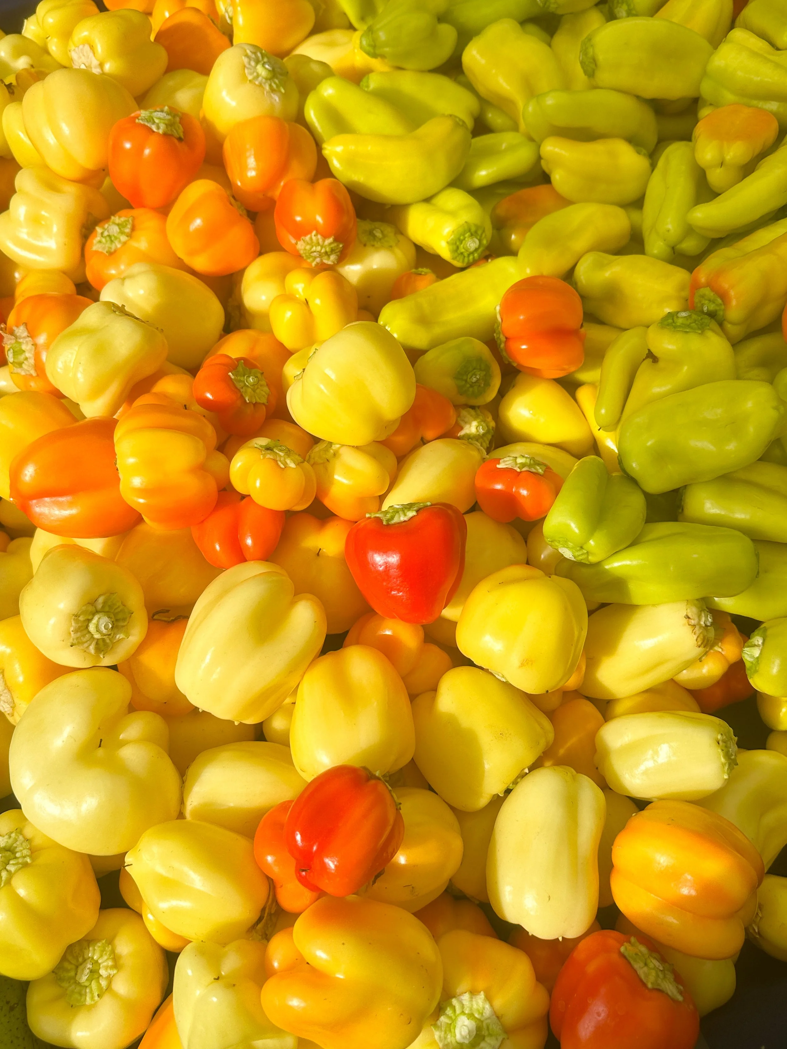 Seasonalproduce3.jpg