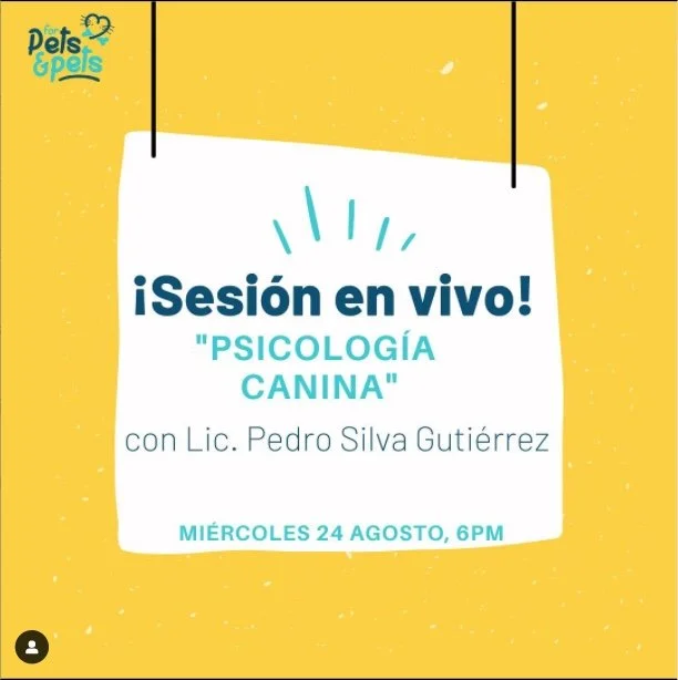 FOR PETS ENTREVISTA KUPERNICO.jpeg