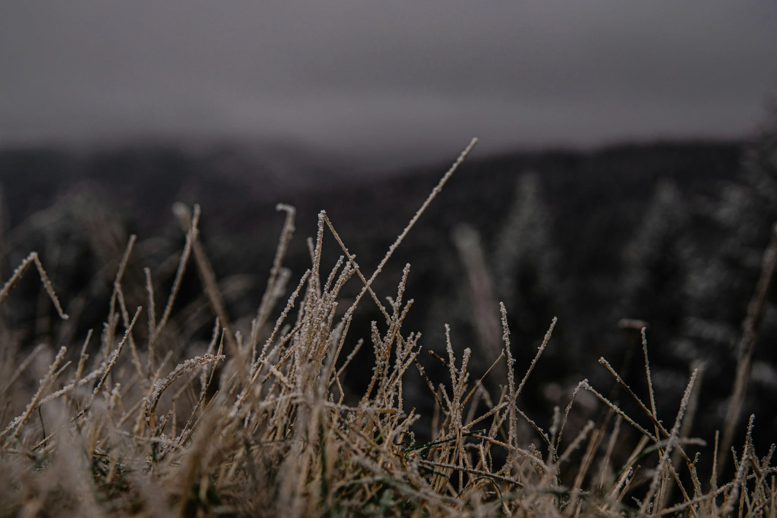 Why Winter Is the Perfect Time to Start Hyperbaric Oxygen Therapy