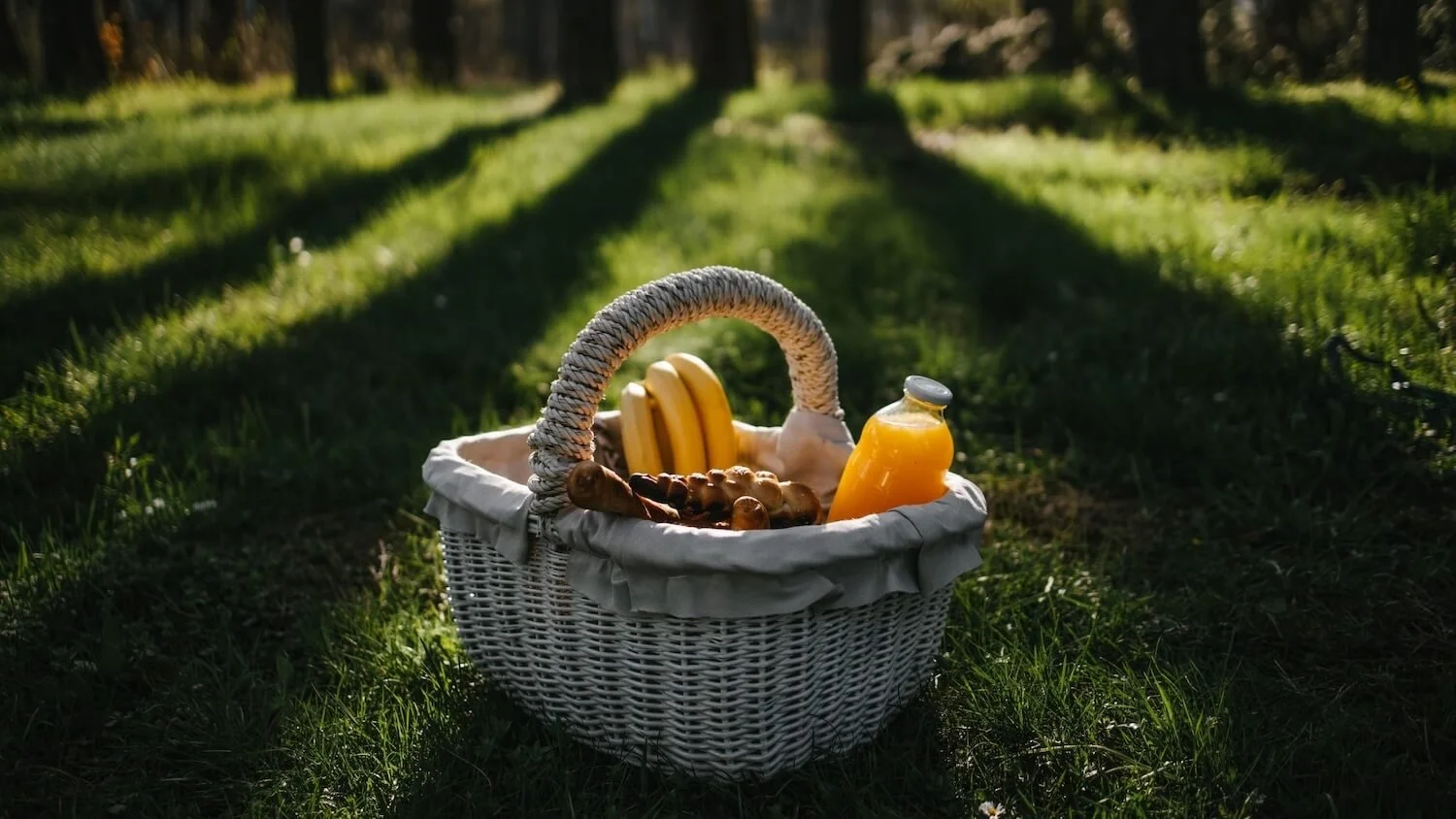 Wonderful Wednesday Blog Hop Favorites (Fall picnic basket filled with beverages & fruit on grass with trees in background)