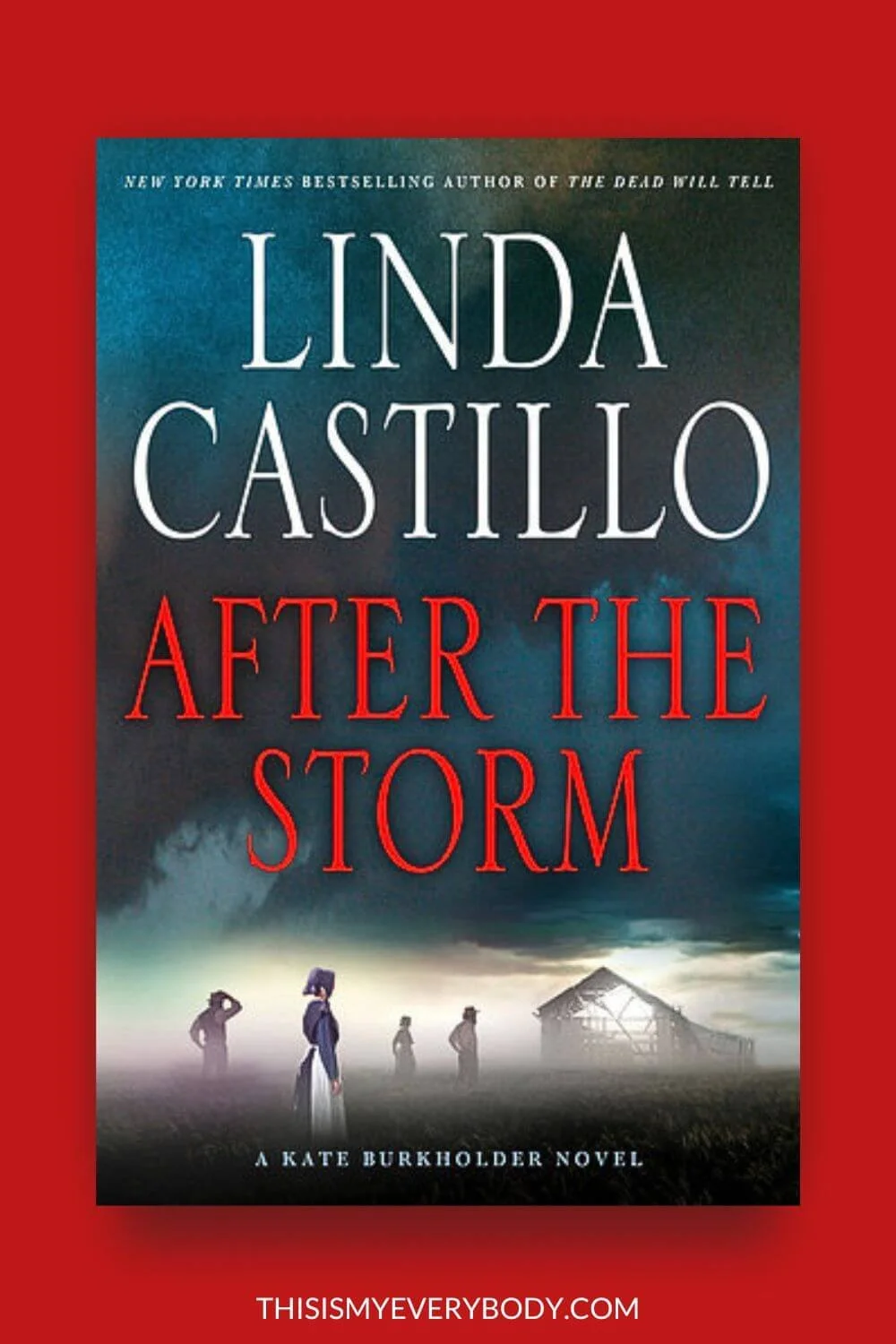 After The Storm by Linda Castillo (Kate Burkholder Series book on red background)