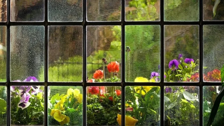 Wonderful Wednesday Blog Hop Favorites (Black paned window with exterior view of spring garden)