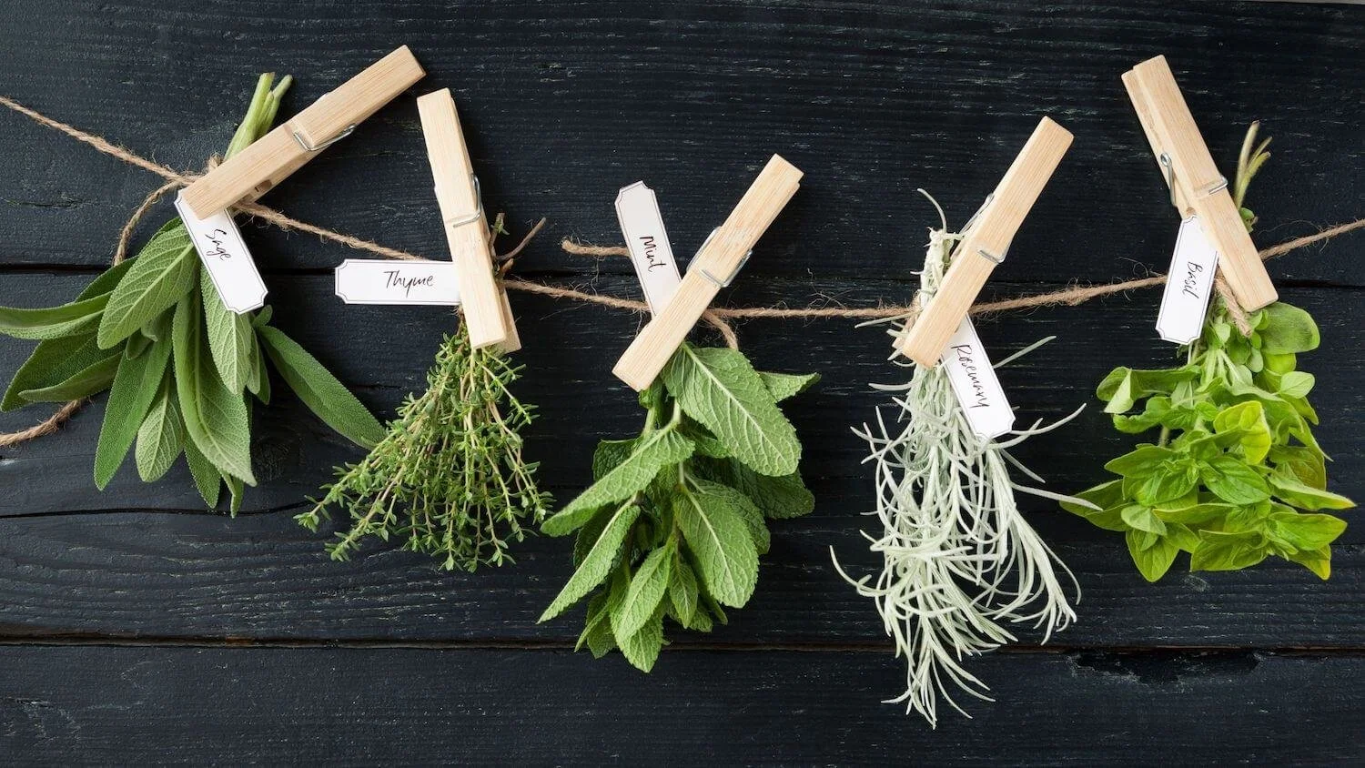 Easy Indoor Herb Garden Ideas for Fresh Herbs In Your Kitchen Every Day