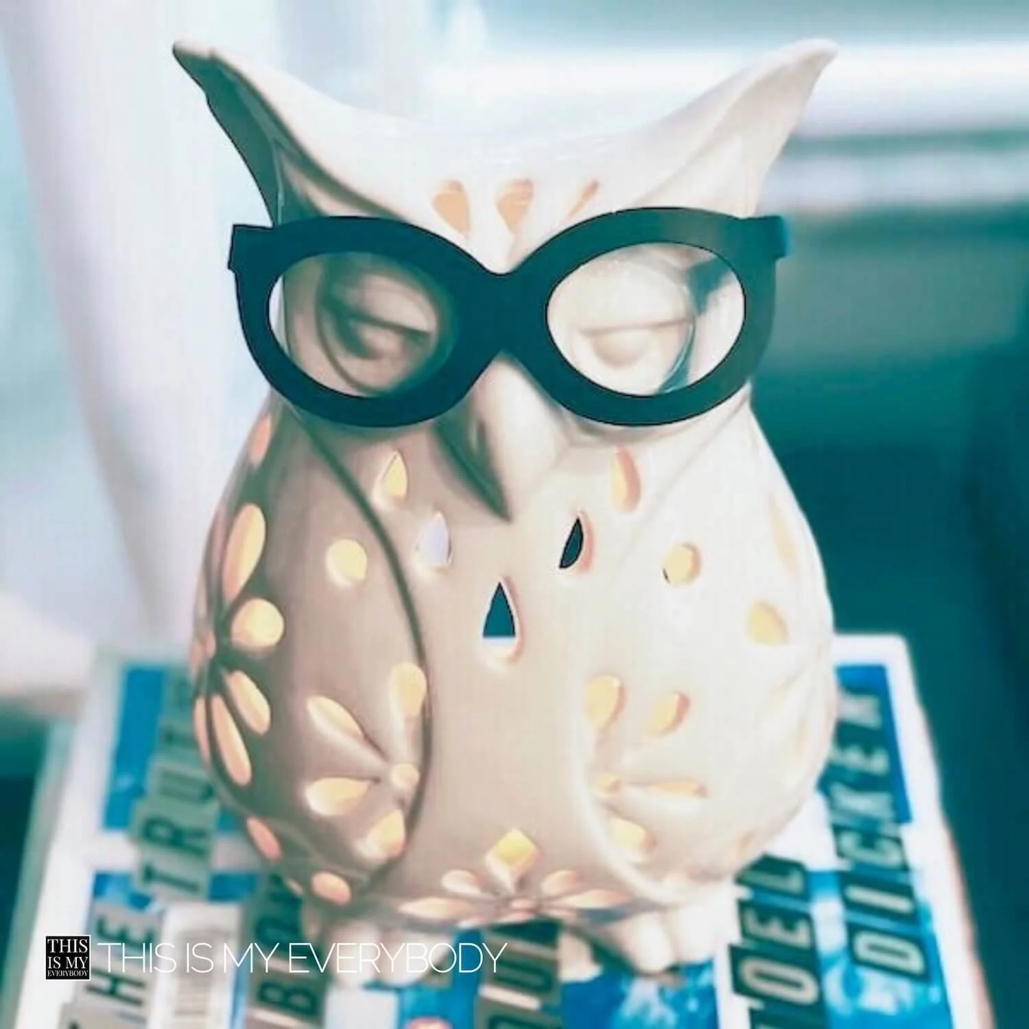 What Book Should I Read Quiz (Ceramic light owl with black glasses on stack of books)