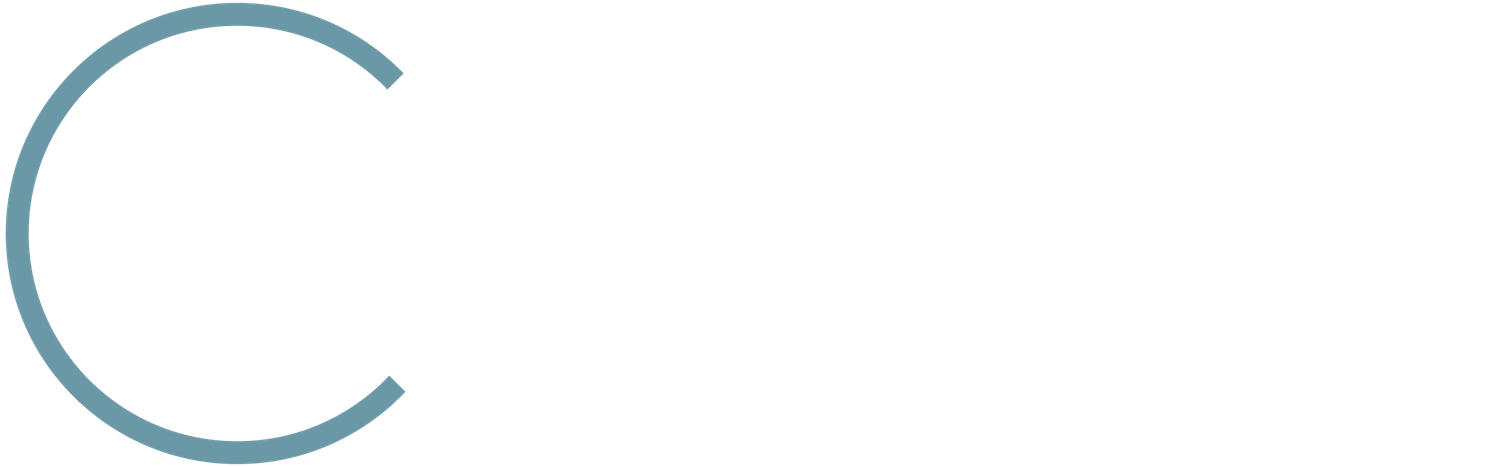 Squarespace Circle Silver Partner Badge 2026