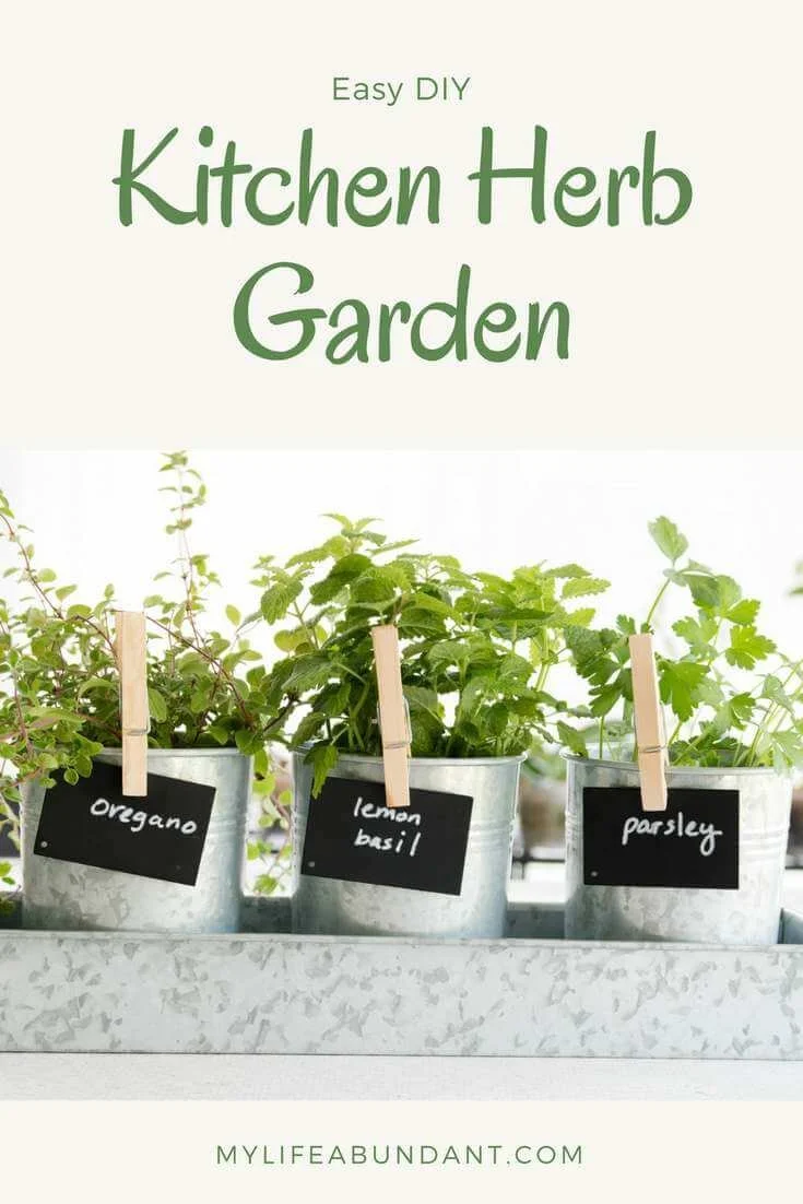 Easy Indoor Herb Garden Ideas for Fresh Herbs In Your Kitchen Every Day
