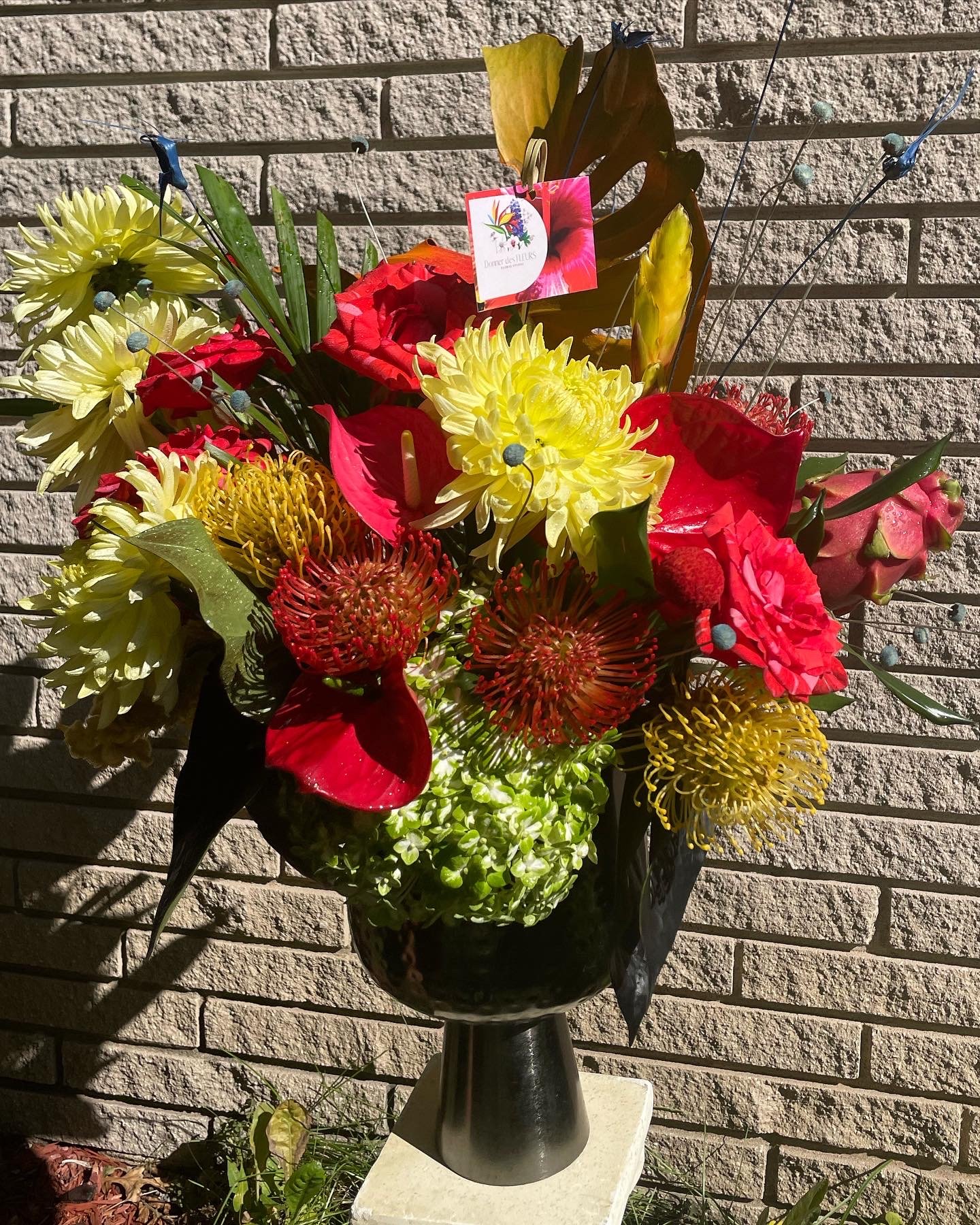 BE268348-AECD-4011-A6F7-91A509C0D1DA.jpeg
