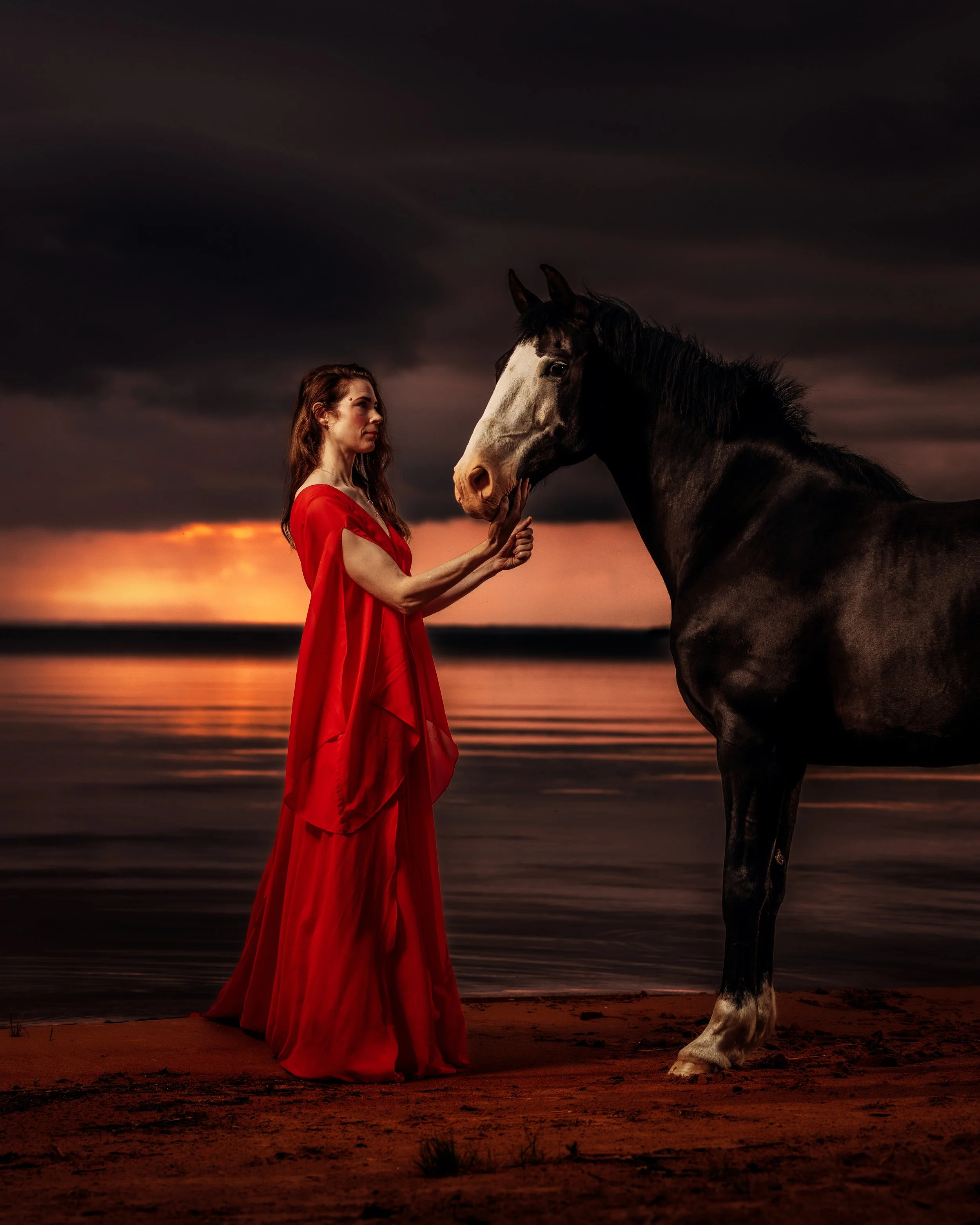 hästfotografering porträtt - fotograf daniel eriksson-2.jpg