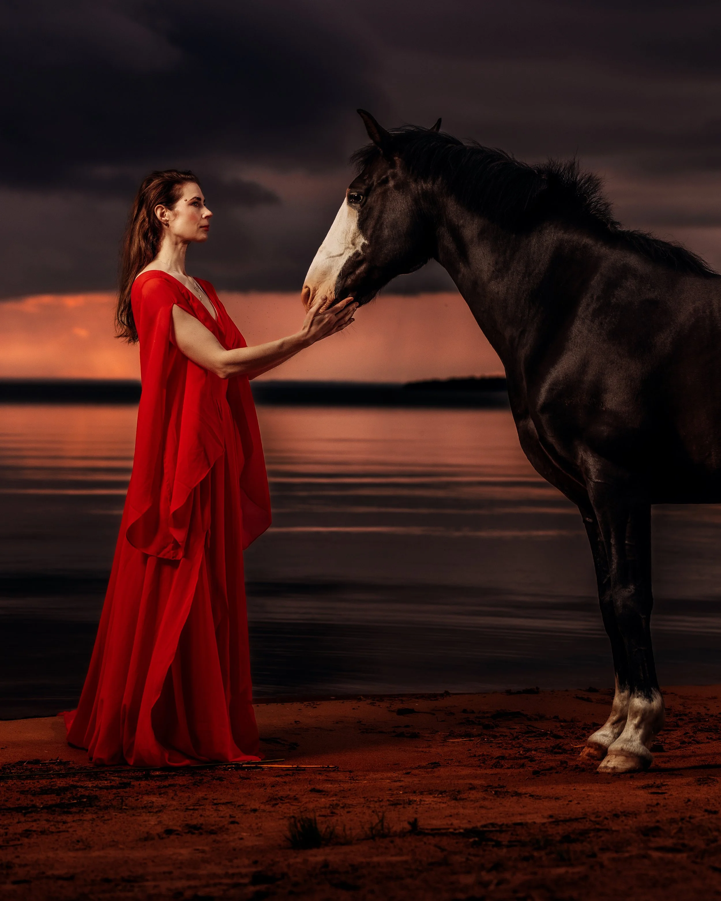 hästfotografering porträtt - fotograf daniel eriksson-3.jpg