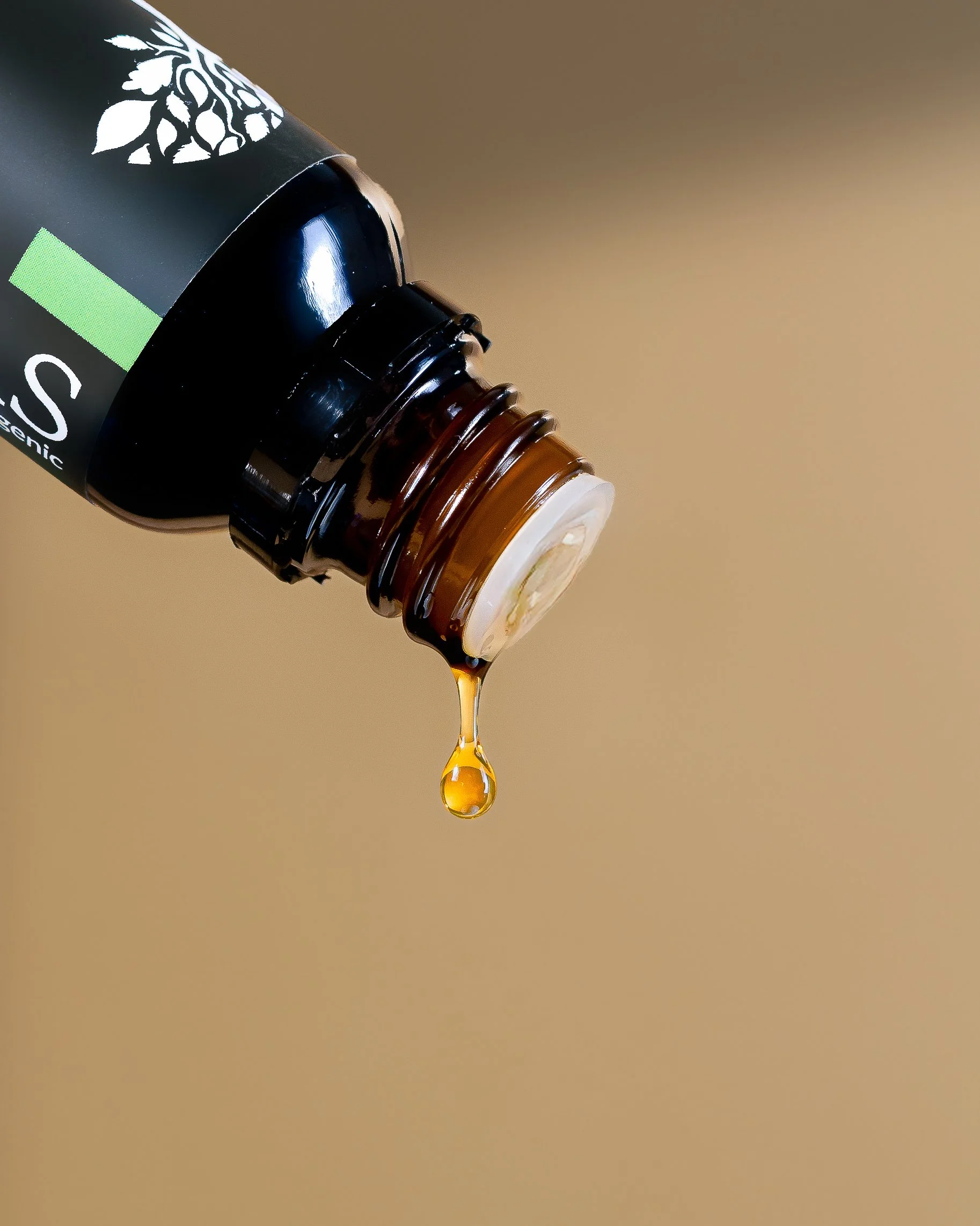 MYS_7488-Edit-Edit.jpg