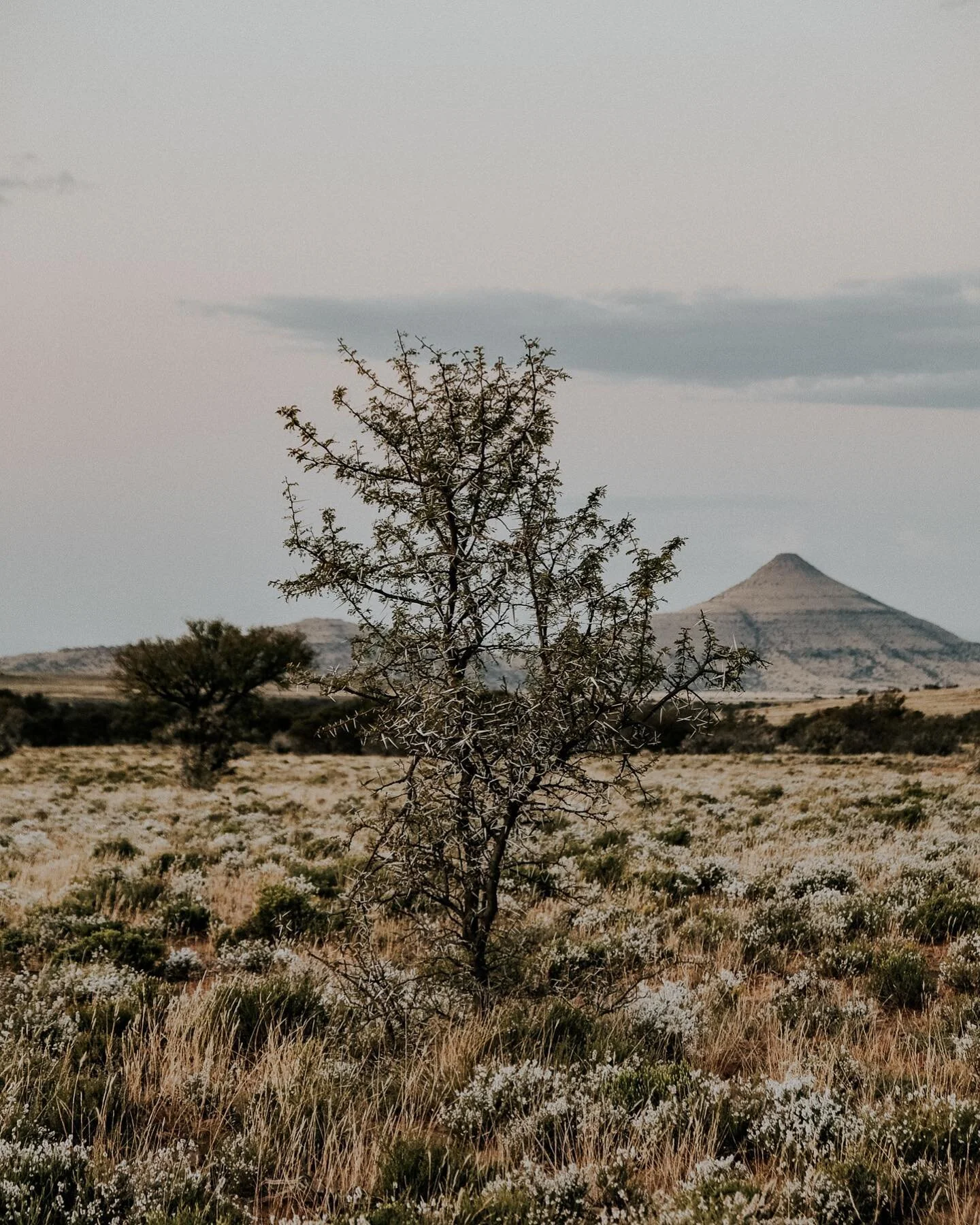 The Karoo.