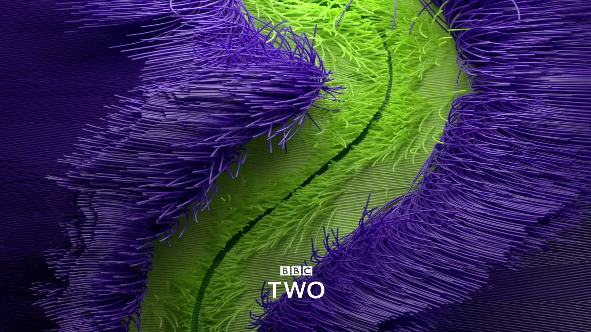 BBC2 04.png