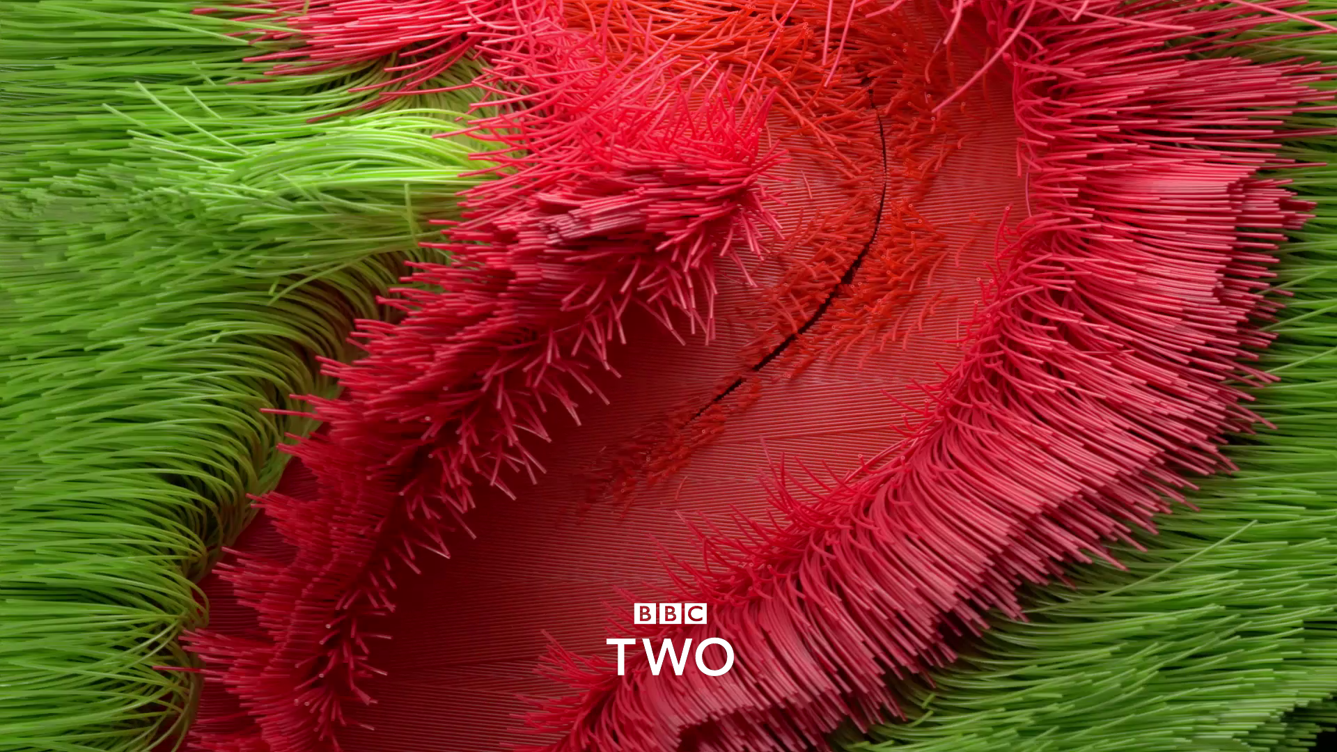BBC2 01.png