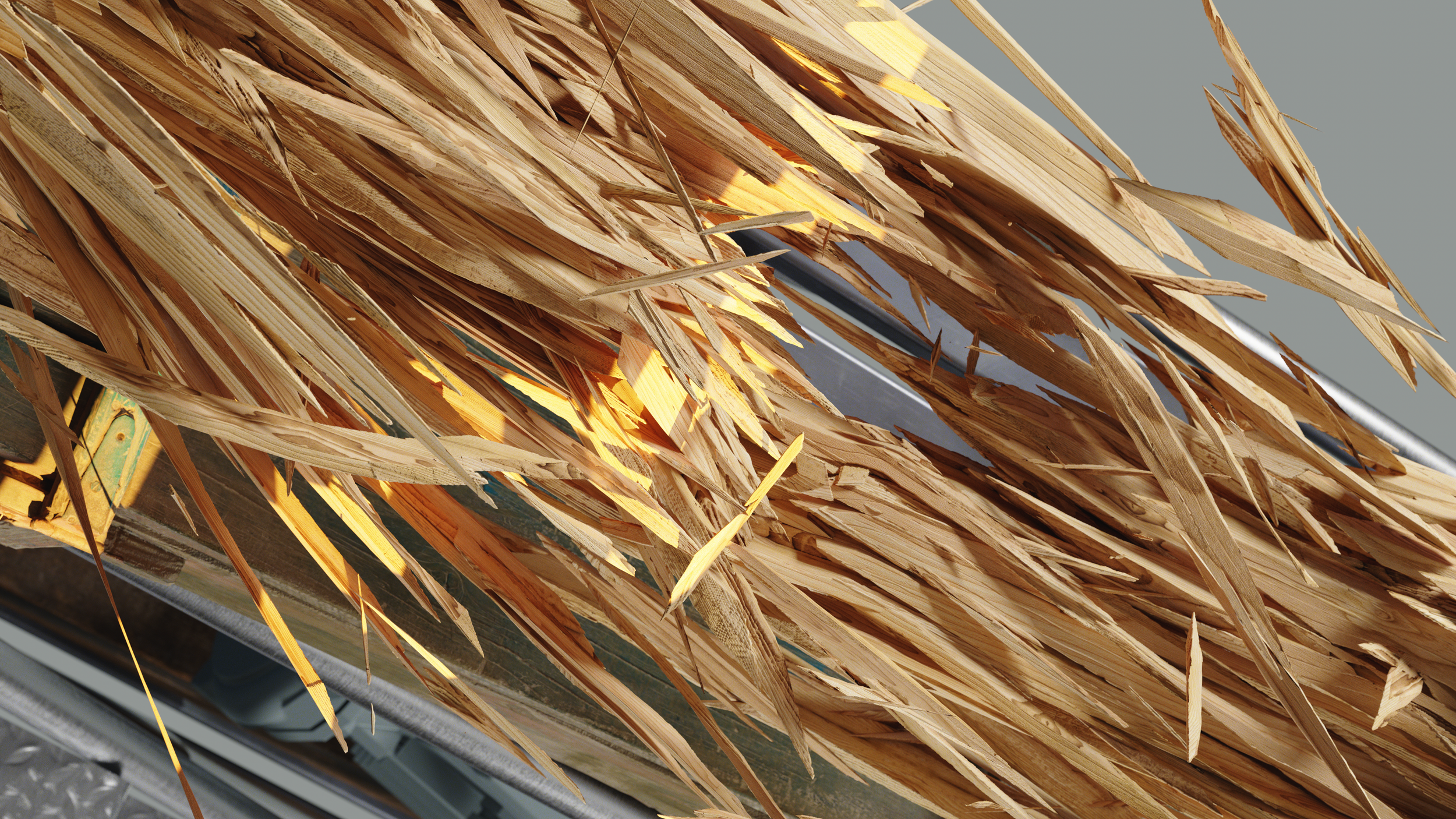 tomaszewicz-nature-drill-4K-07.png