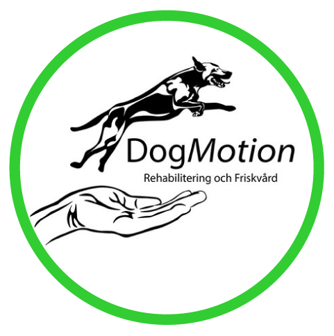 DogMotion | Hundfysioterapi för rehabilitering och friskvård