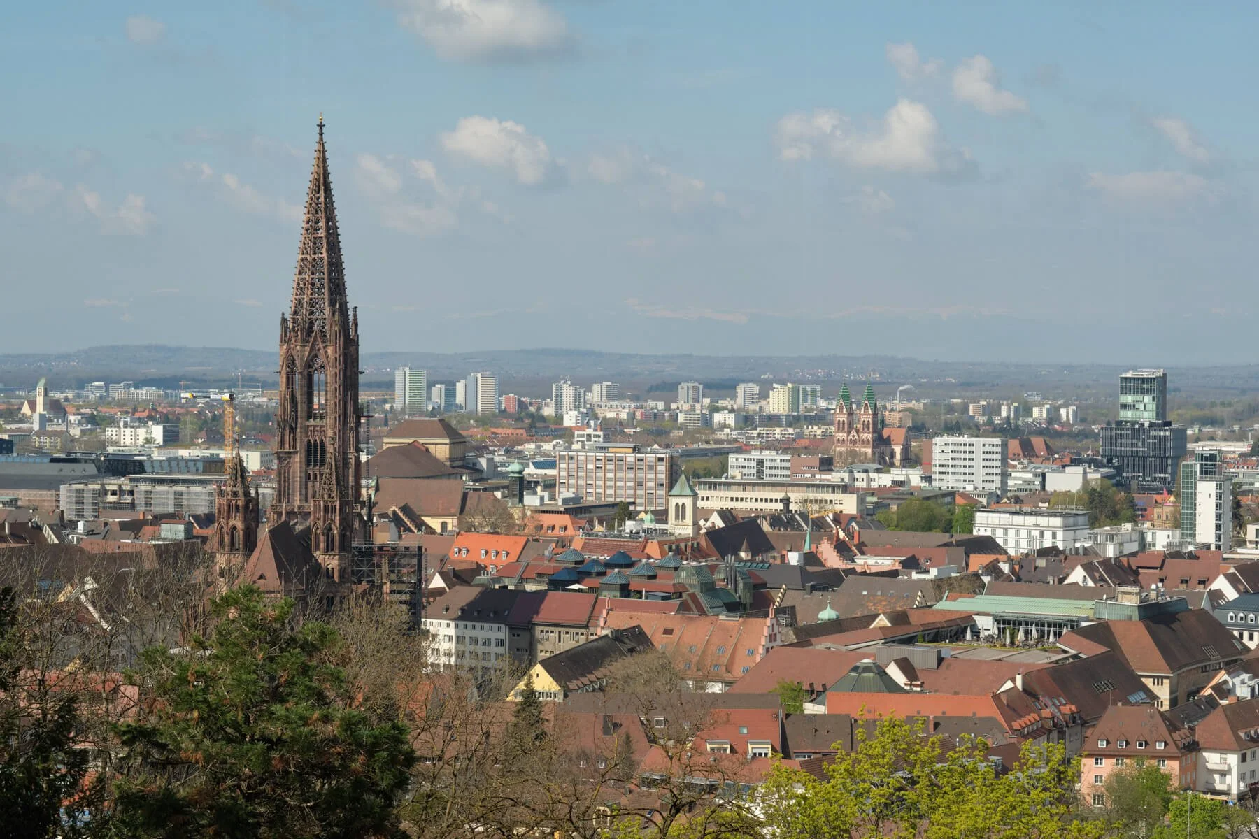 Blick auf eine Stadt mit einer großen gotischen Kathedrale, modernen Gebäuden im Hintergrund, grünen Bäumen im Vordergrund, bei Tag mit bewölktem Himmel.