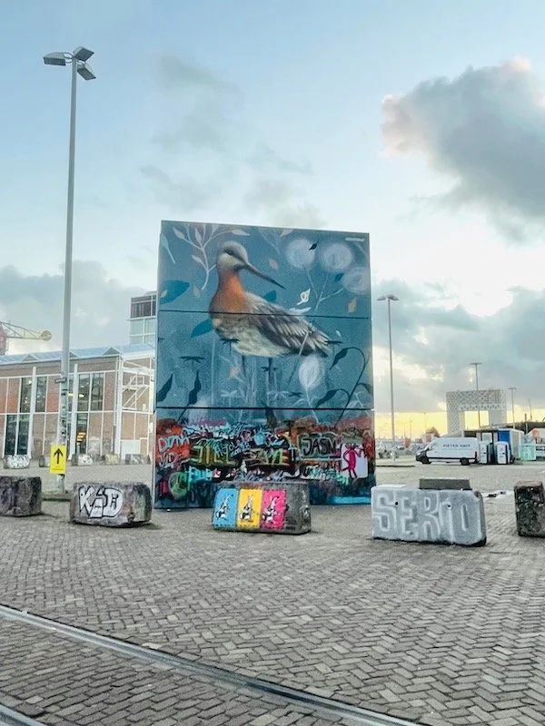 NDSM graffiti -  Greenpeace - Black tailed godwit.jpeg