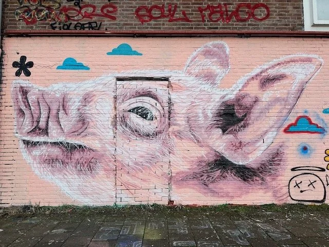 NDSM graffiti - pig.jpeg