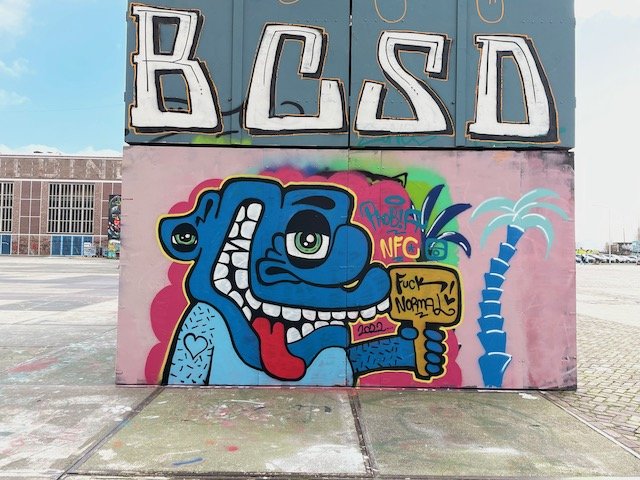 NDSM graffiti - fuck normal.jpeg