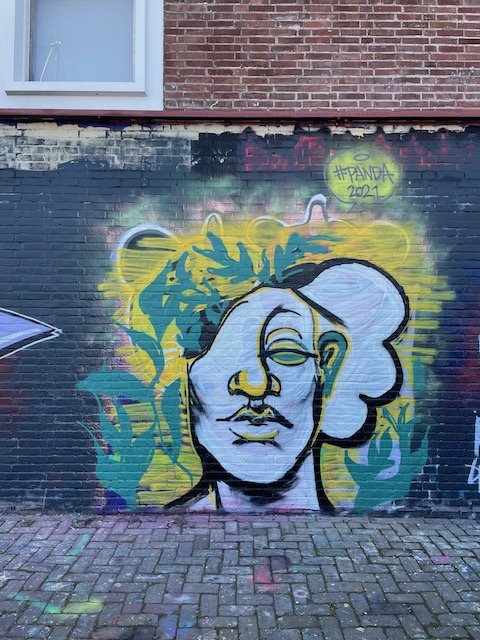 NDSM graffiti - clown with one eye.jpeg