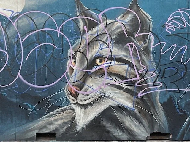 NDSM graffiti - katachtige.jpeg