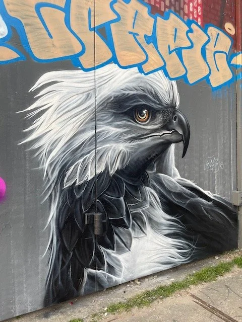 NDSM Graffiti - prey bird.jpeg
