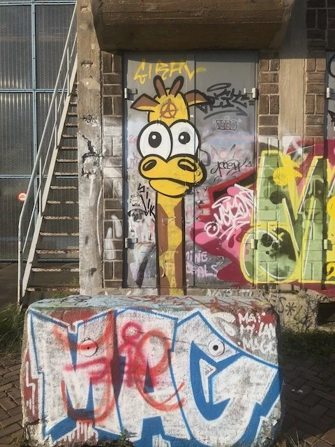NDSM graffiti - giraffe1.jpeg