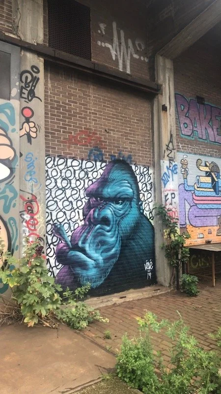 NDSM Graffiti - Gorilla.jpeg