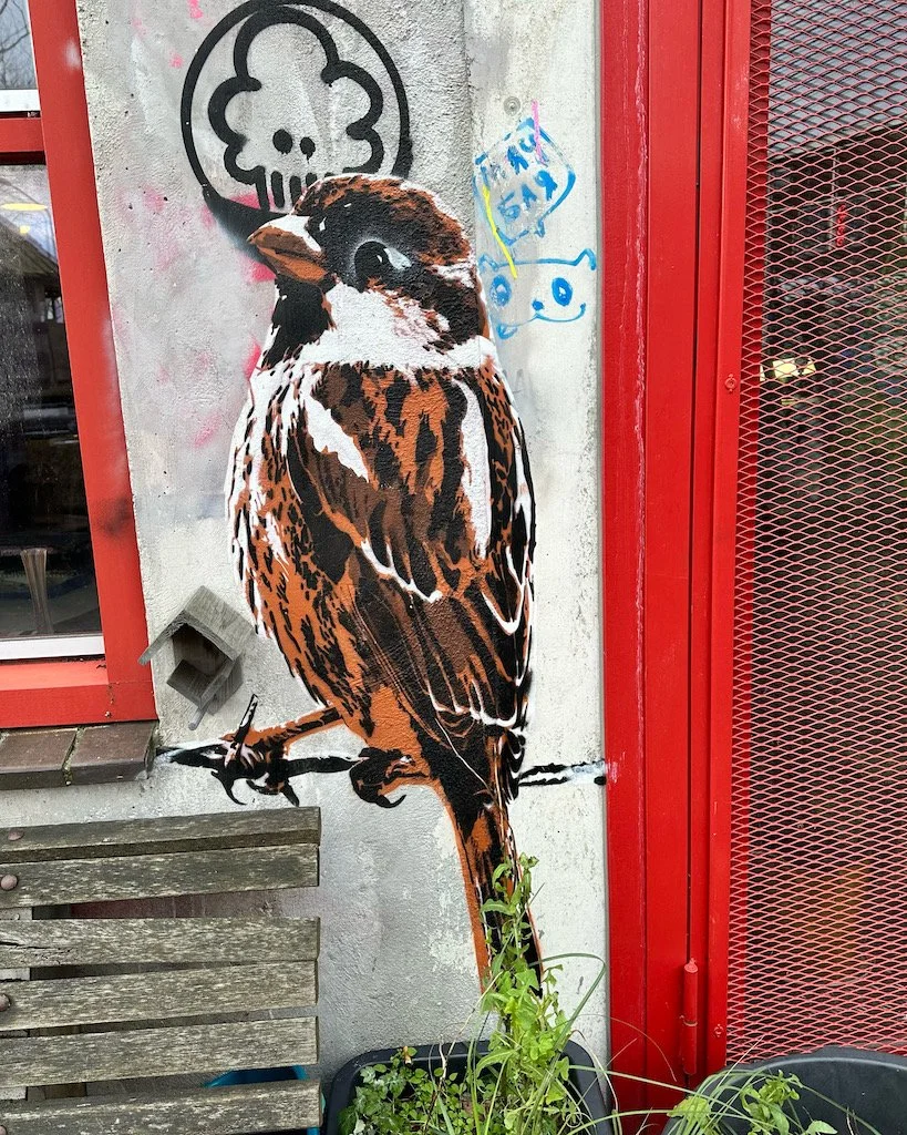 Graffiti at NDSM 2024 - bird.JPG
