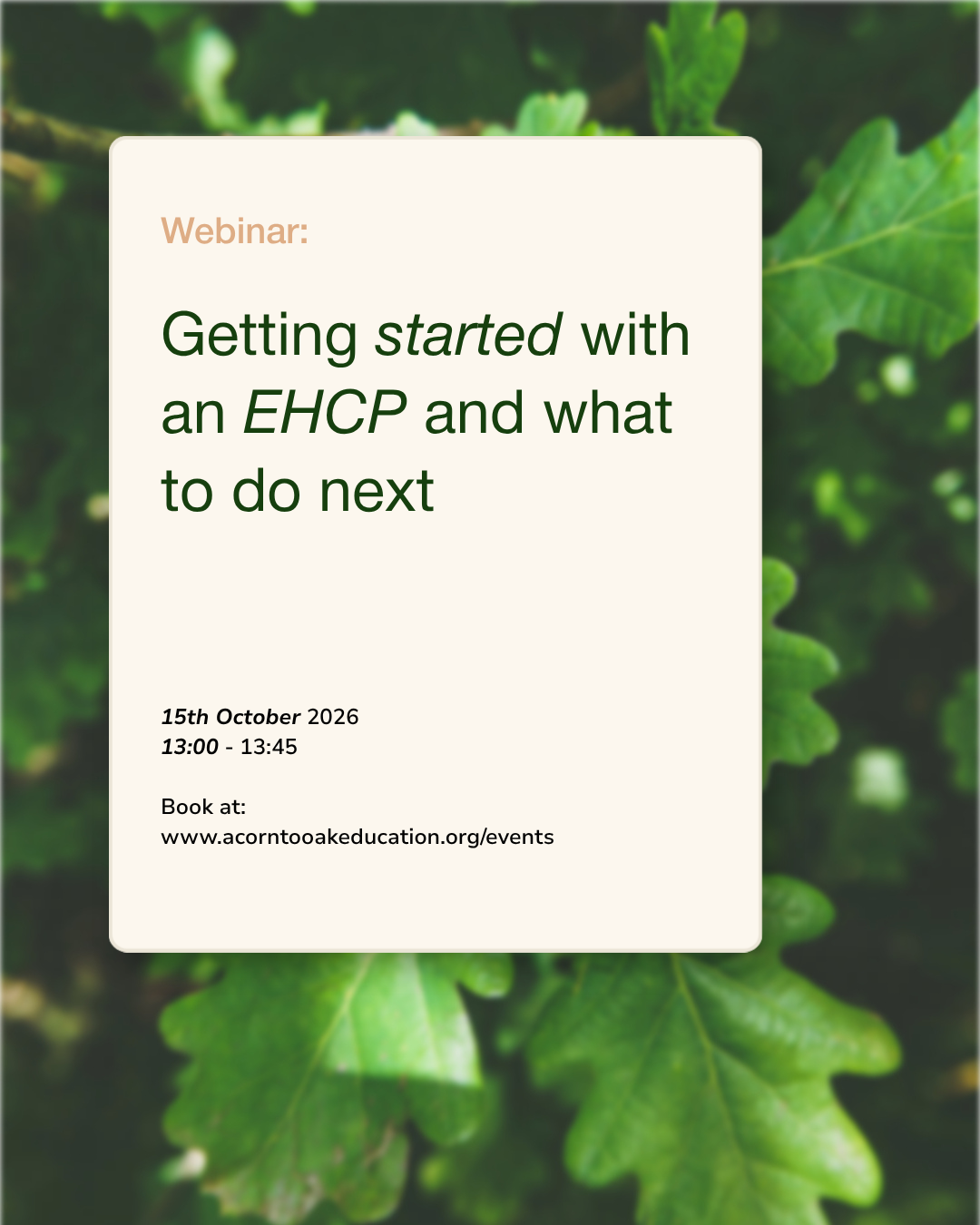 Getting started with an EHCP and what to do next 