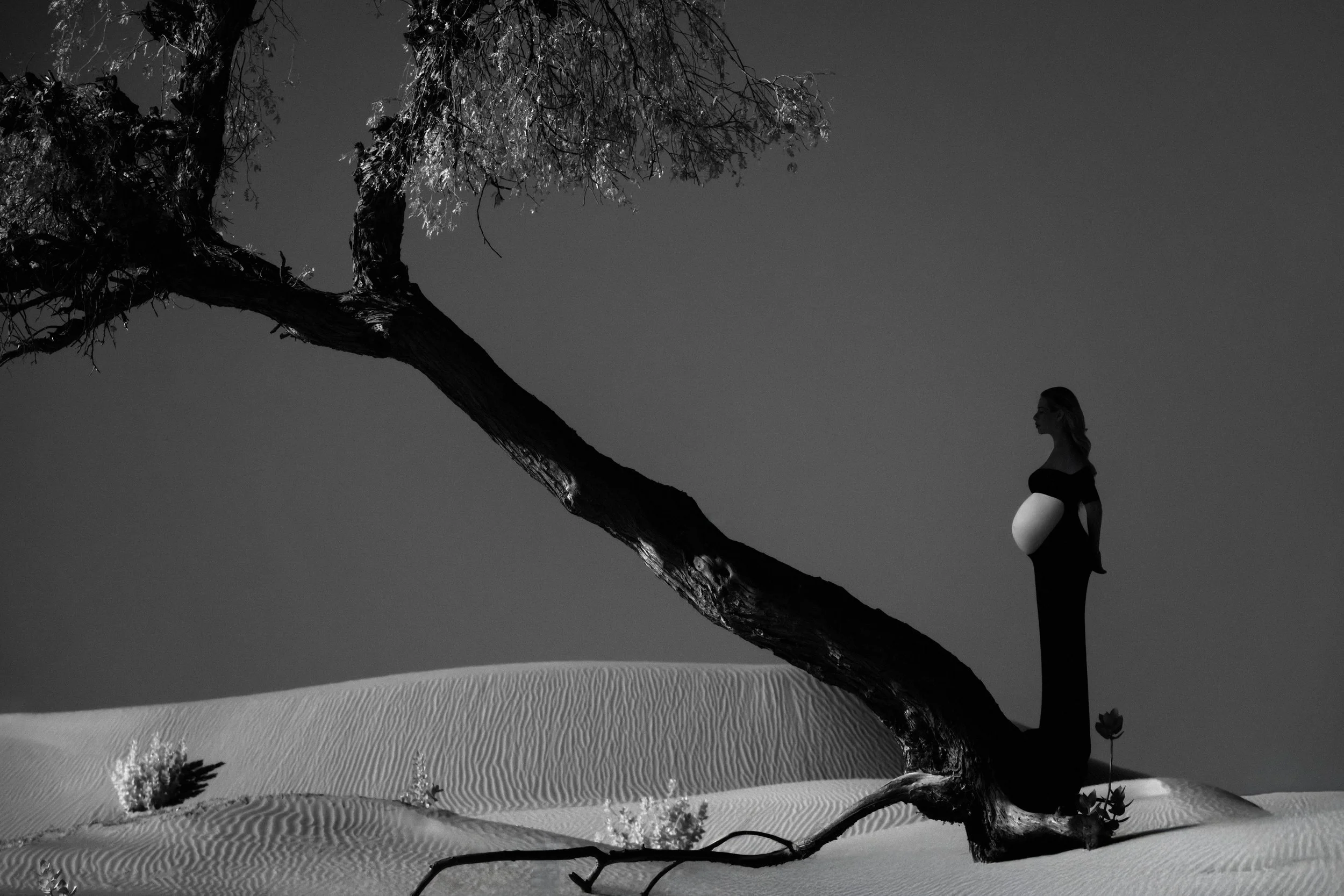 Olivia Phillips_Maternity Muses_03.JPG