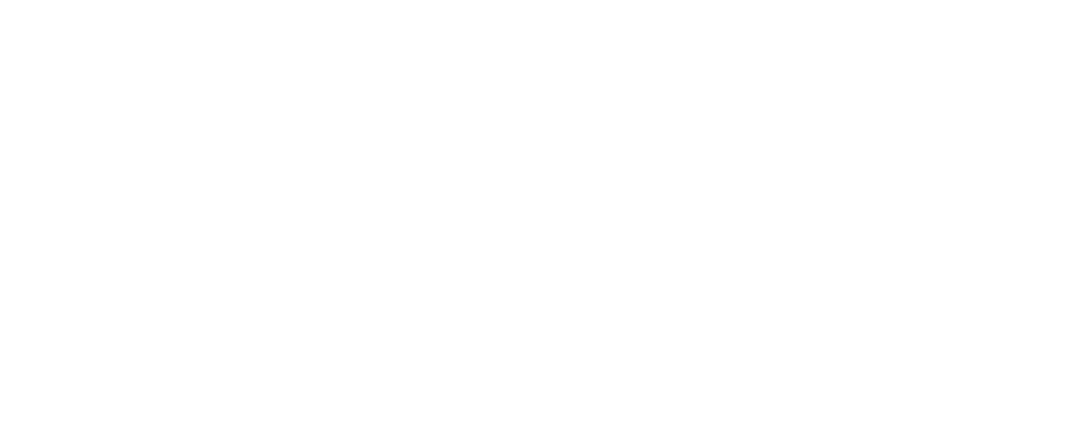 Julie Birkheim