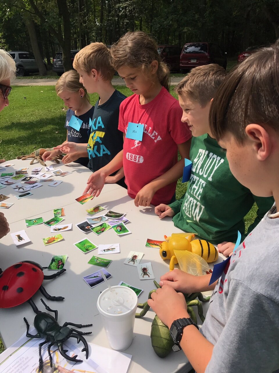 Bug Fest 2017