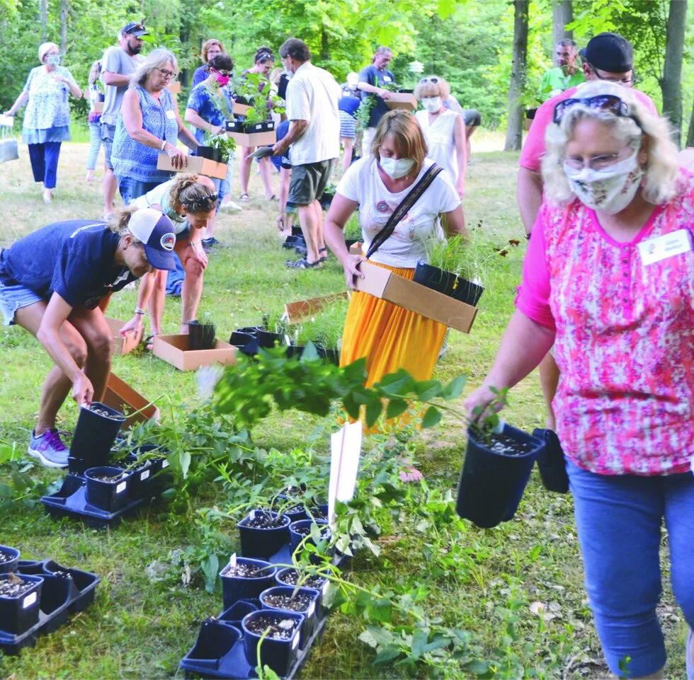 Workshop explains pollinators