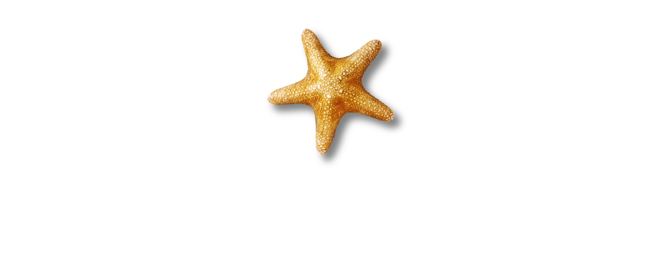 SEA LIFE + Paris (White text) RGB.png