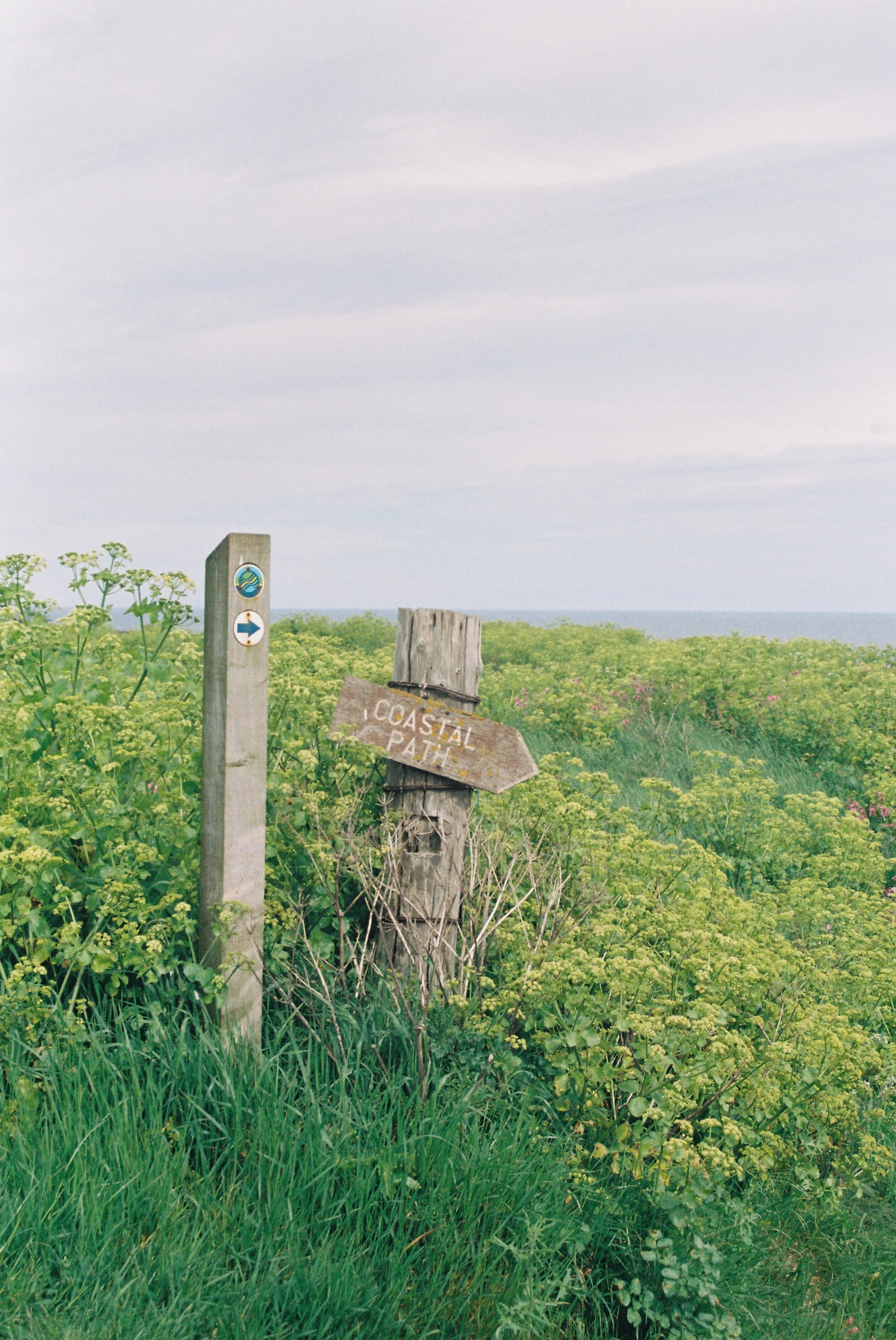Fife Coastal Path