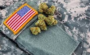 Criminals over Veterans