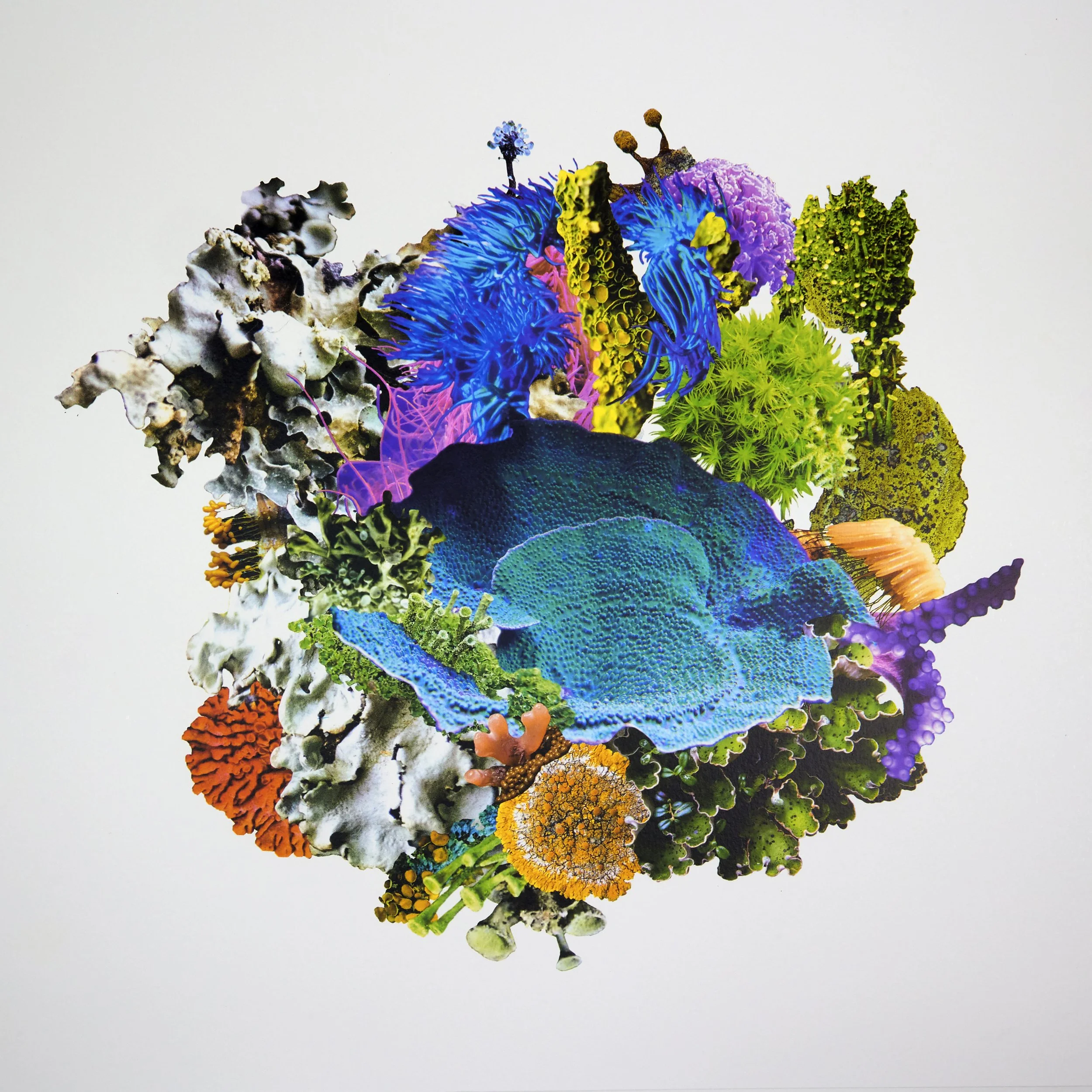 MalikNeeli, OnTheSurfaceofTheReef, photolitho.jpg