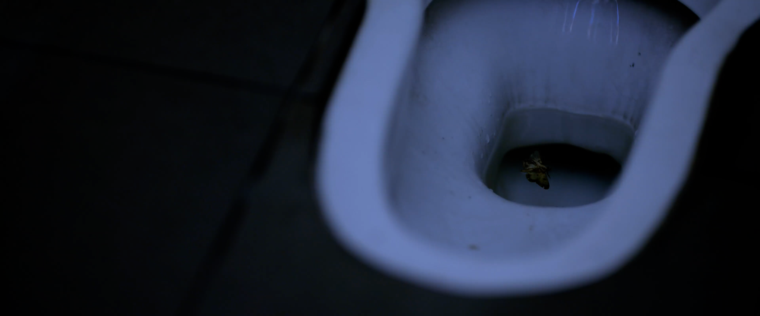 Boo in the Loo
Short Film