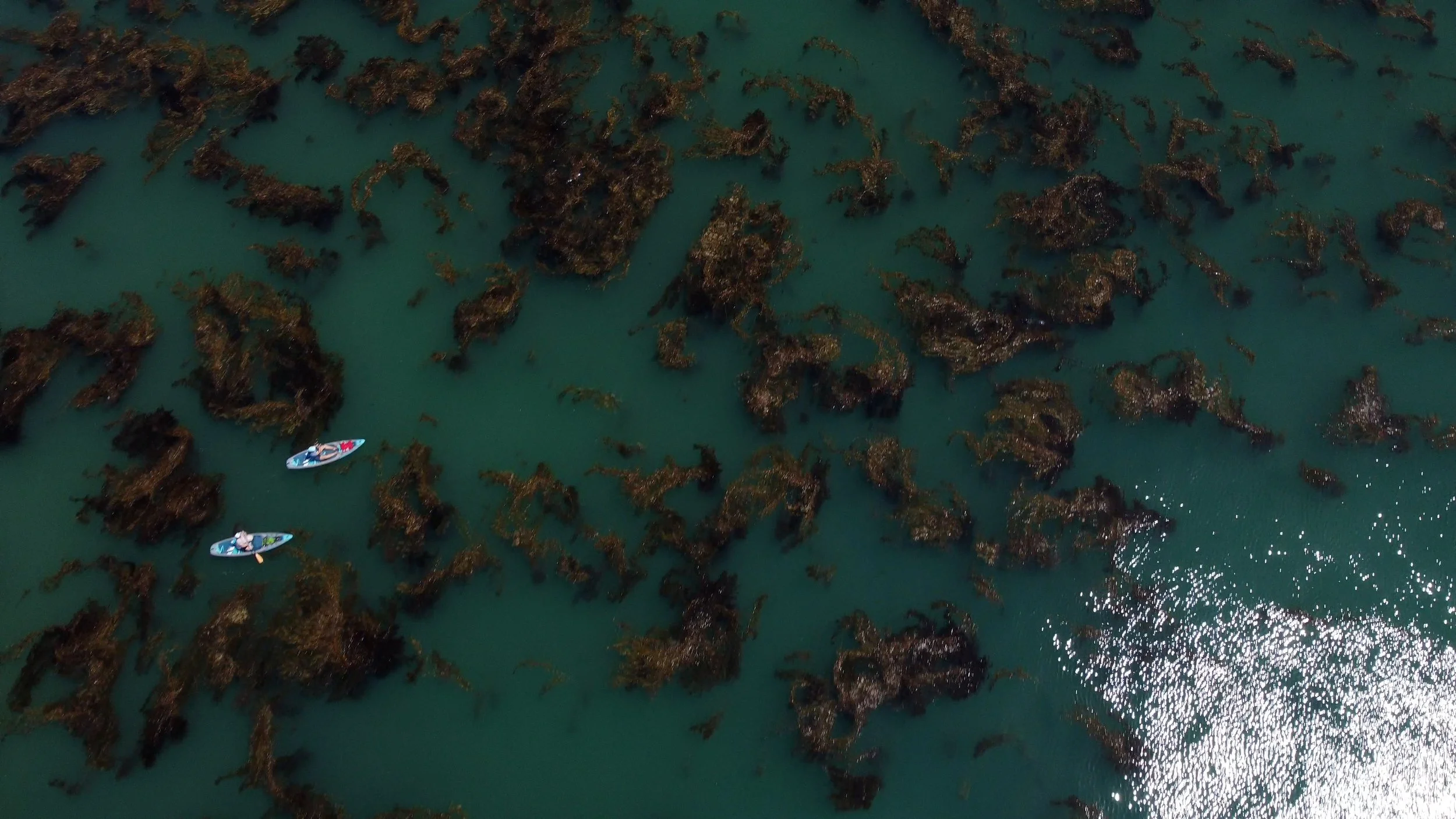 DJI_0050.MP4.00_00_13_08.Still001.jpg