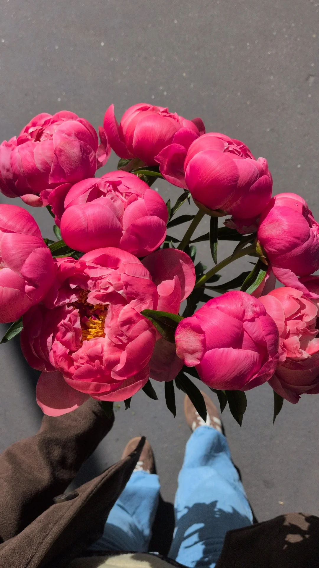 Des pivoines pour ma maman