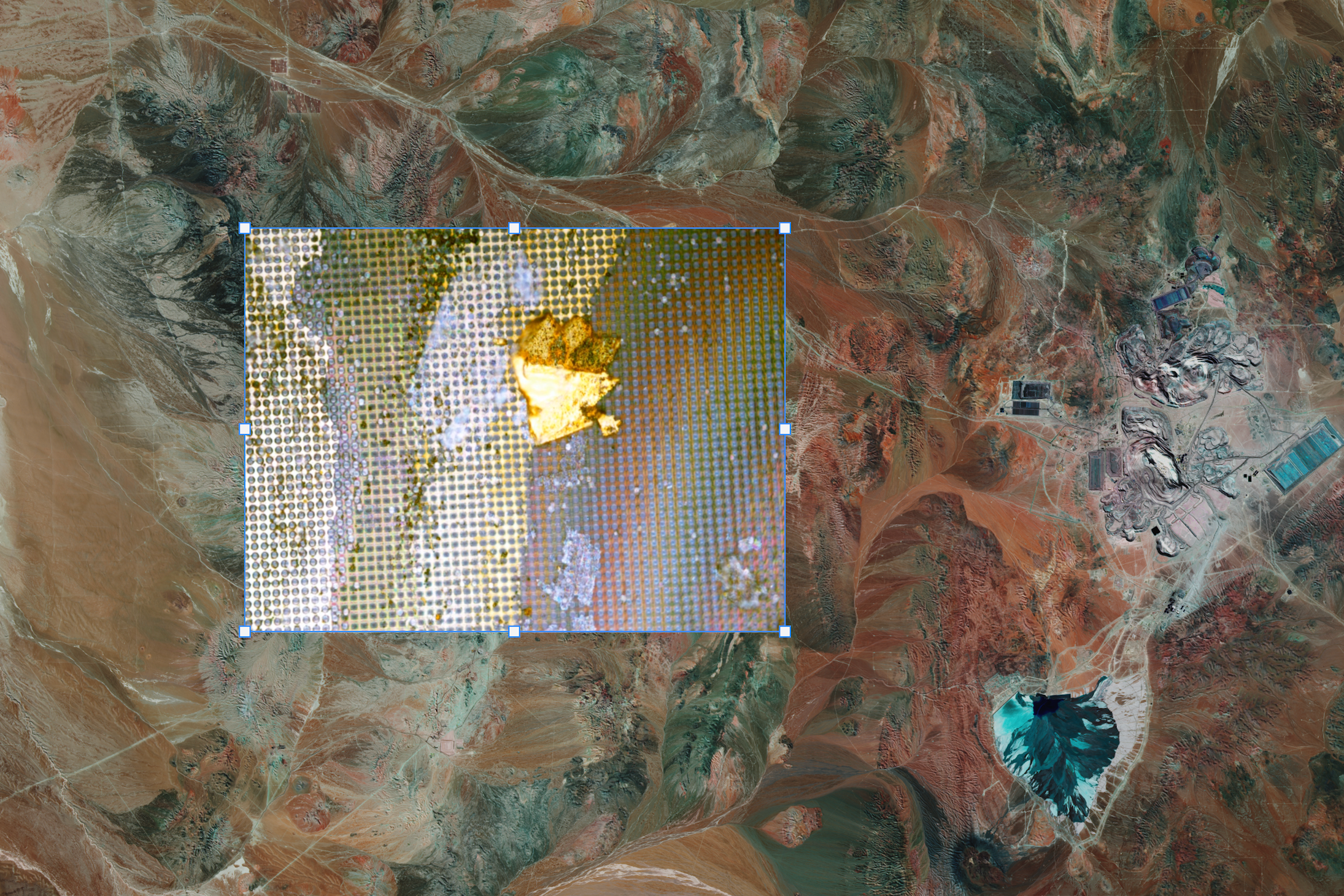 Stephen Cornford and Annie Goh •